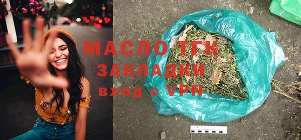 гашик Ельня