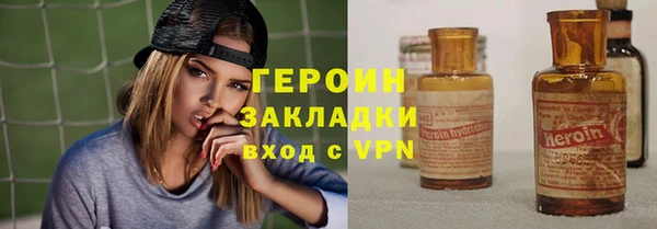 гашик Ельня