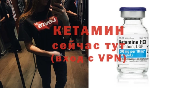 гашик Ельня