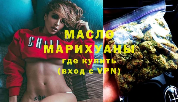 гидра Елизово