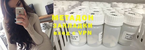 гидра Елизово