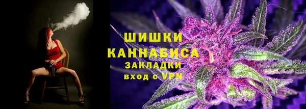 гидра Елизово