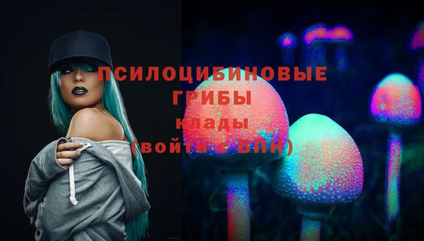 мдпв Заволжье
