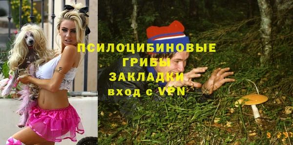 мяу мяу мука Заволжск