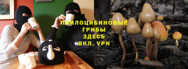герыч Заводоуковск
