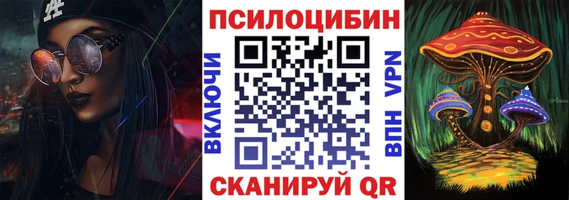 Галлюциногенные грибы Psilocybine cubensis  Калтан 